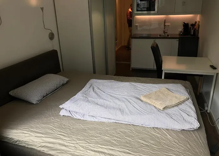 One Room Appartement Theresienstrasse